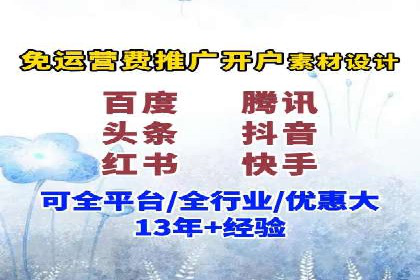 搜索引擎广告（SEM）在本地化推广中的运用案例